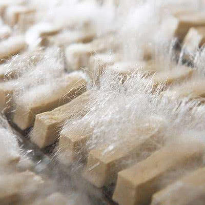 放置10几天的食物,严重发霉长毛,调制后居然十分美味好下饭!