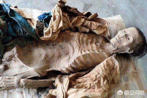 有哪些关于历史的冷知识