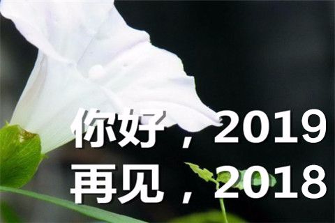 2018年最后一天结束的心情说说,告别2018年最后一天的说说精选