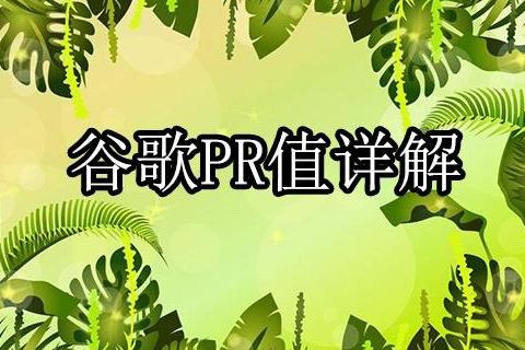 监护pr值是什么