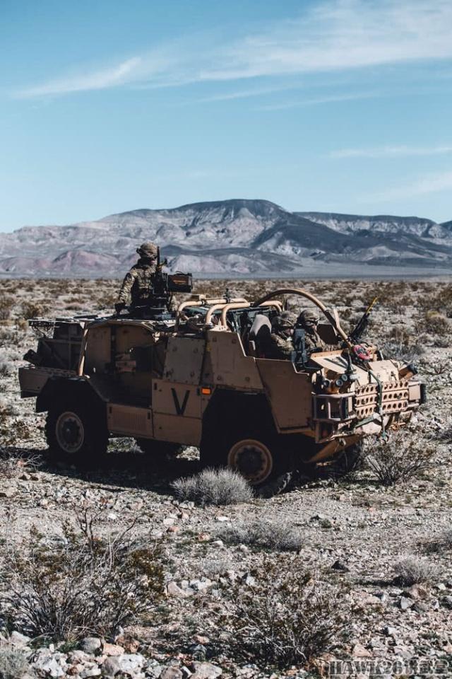 英国海军陆战队在美国受训"豺"快速突击车显示独特价值