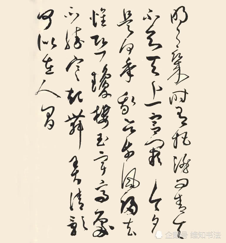 书法解密之“草书”,章草、小草“今草”大草“狂草”解析下篇|解密|草书|张芝_新浪新闻