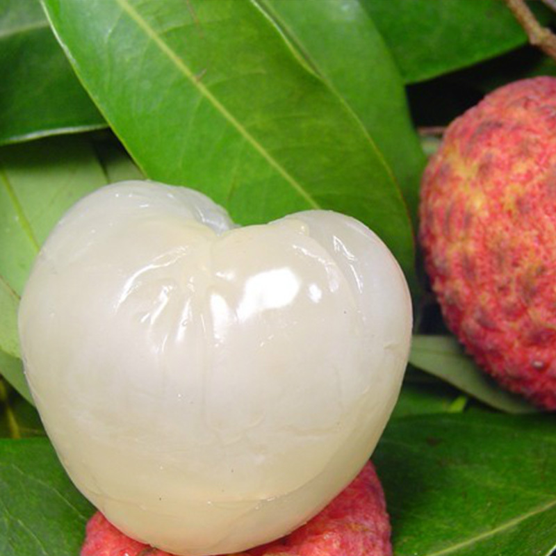 这种水果在南方没人要,却在北方被抢购一空,卖到几十元一斤!