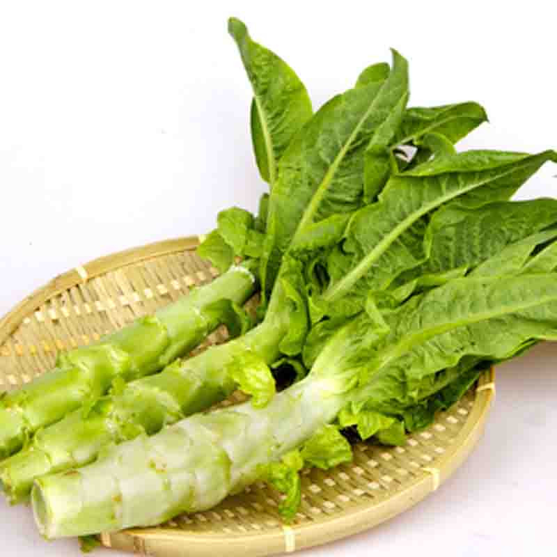 莴苣又叫莴荀,香乌笋.具有开通,疏利,消积.