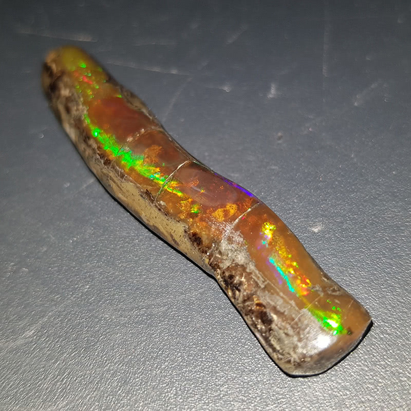 化石欧泊你可曾见过，恐龙化石能形成欧泊吗？
