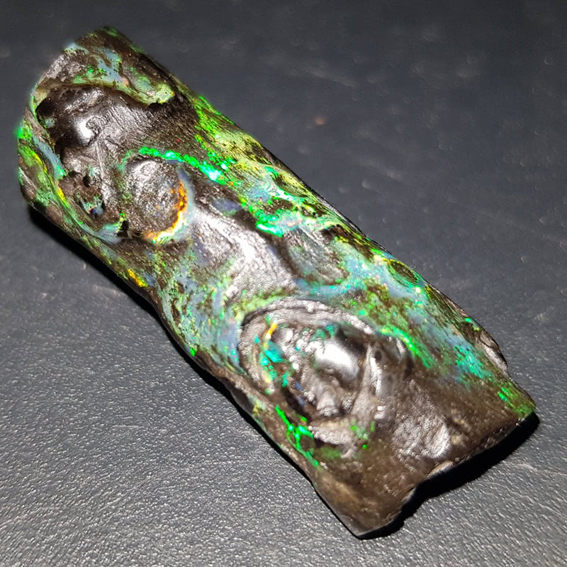 化石欧泊你可曾见过，恐龙化石能形成欧泊吗？