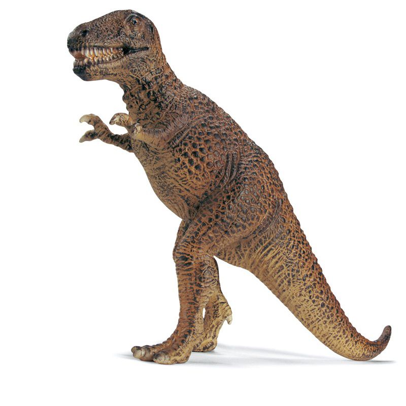 暴龙科的最早祖先,诞生地方竟在英国,以禽龙等恐龙为