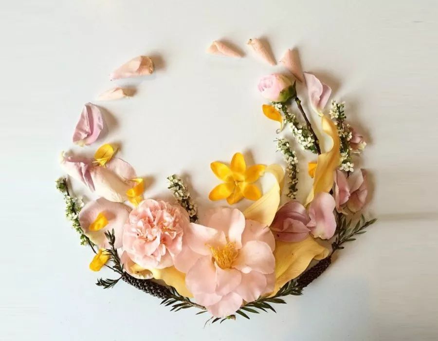 心理测试:选一组精心摆放的花瓣,测最近你的桃花运好吗