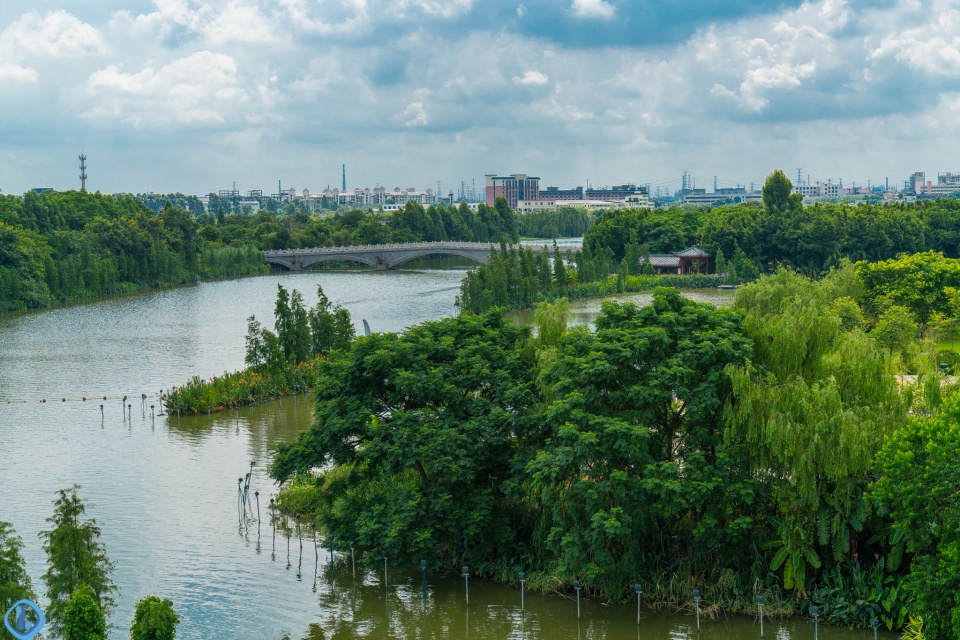 东莞水乡小镇里,竟藏着一座国家级湿地公园