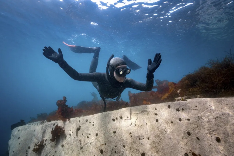 土耳其女潜水员:深入冰冷刺骨的南极洲潜水,只为了科学研究