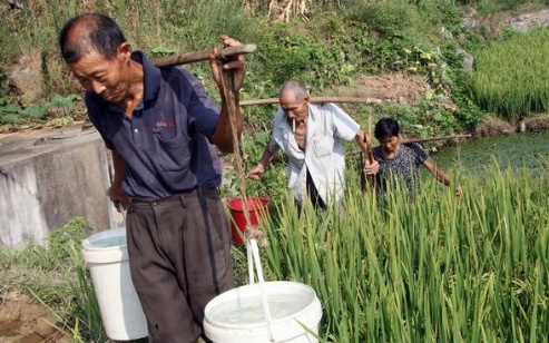 都说勤劳致富农民辛苦半辈子老了还是没存到钱为何
