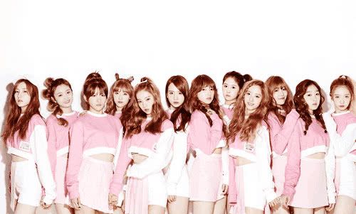 宇宙少女成员3年零收入?乐华为何还想艺人回韩国?