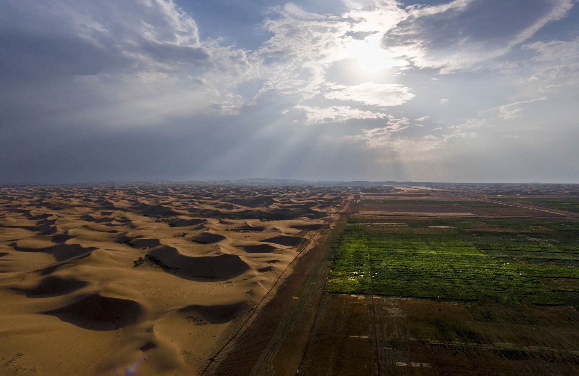 沙漠变绿洲的神话终于成为现实,这一最新技术遭到不同科学家质疑