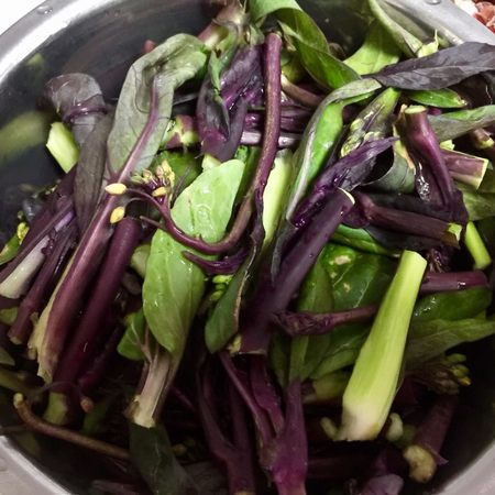 紫菜苔炒香肠图片