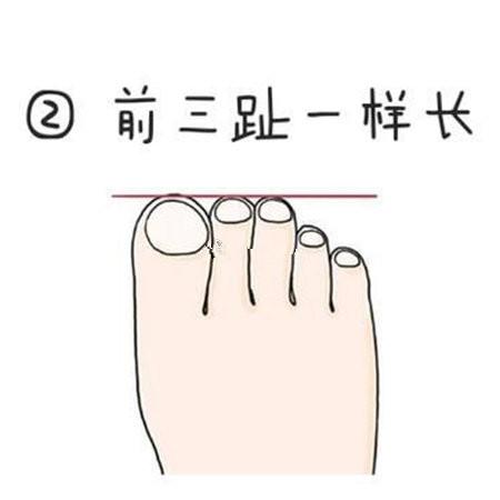 这四种脚趾的人男富女贵看看你属于哪一种?