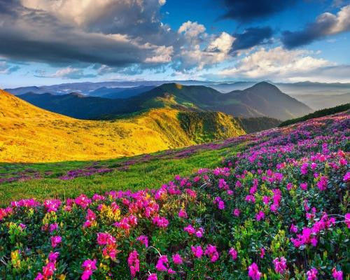 2018年告别霉运,转运富贵的3大生肖