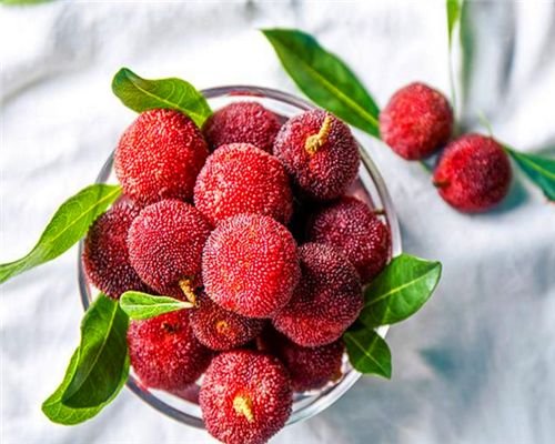 黄连杨梅猜成语_杨梅演员