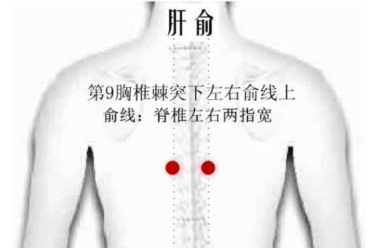 体检发现谷丙转氨酶升高,多半肝受损,常做3件事,保肝降酶!