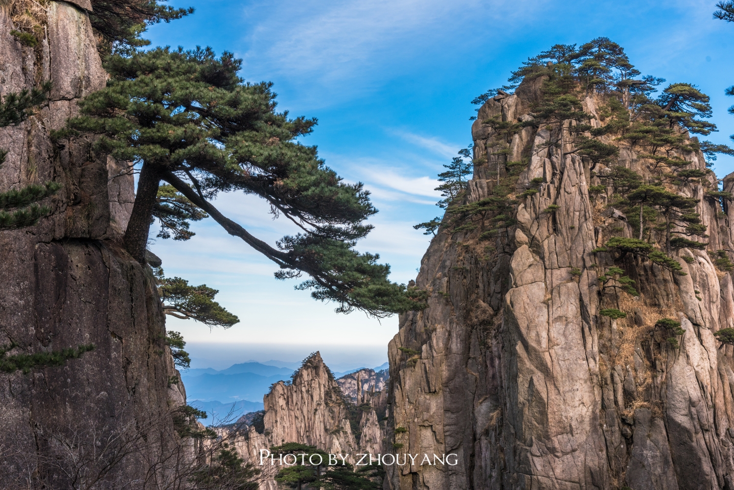 迎客松,不仅是黄山第一景,更是国家对外友好的象征