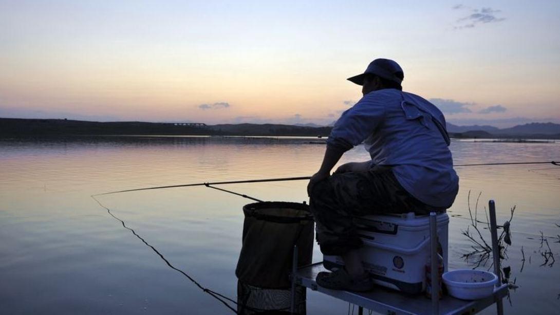 你真的了解"台钓"吗?钓了10多年的高手,估计也弄不清楚