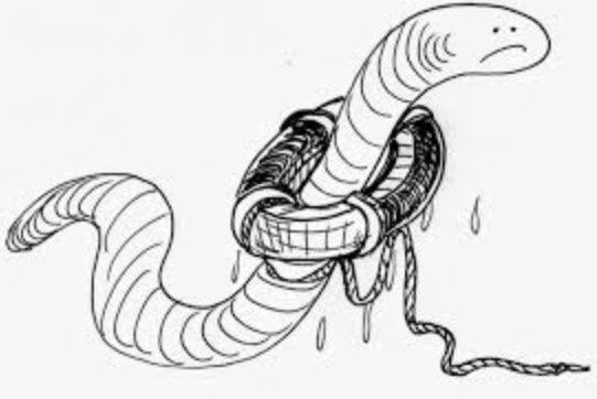 蚯蚓比大熊猫更重要!为何达尔文认为蚯蚓是地球最有价值的生物?