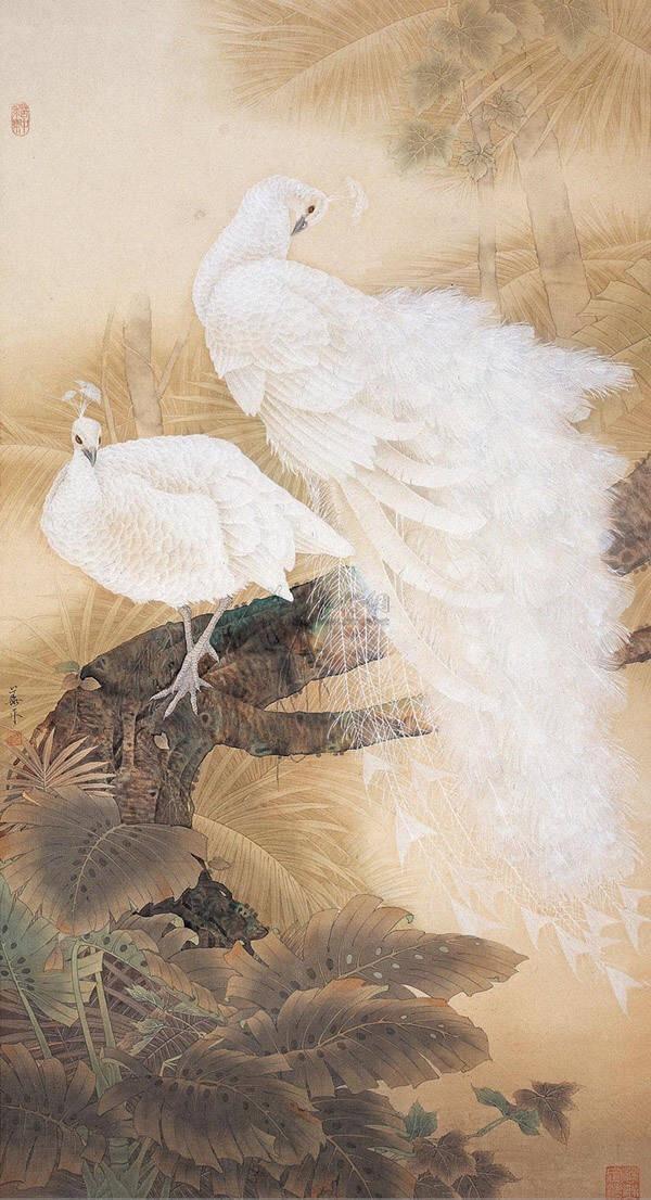 他笔下的白孔雀犹如穿着雪白婚纱的少女