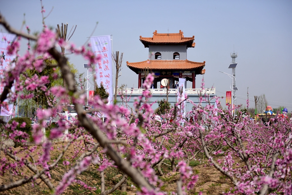 桃花为媒畅游赤水镇千亩桃园艳遇美丽桃花仙子