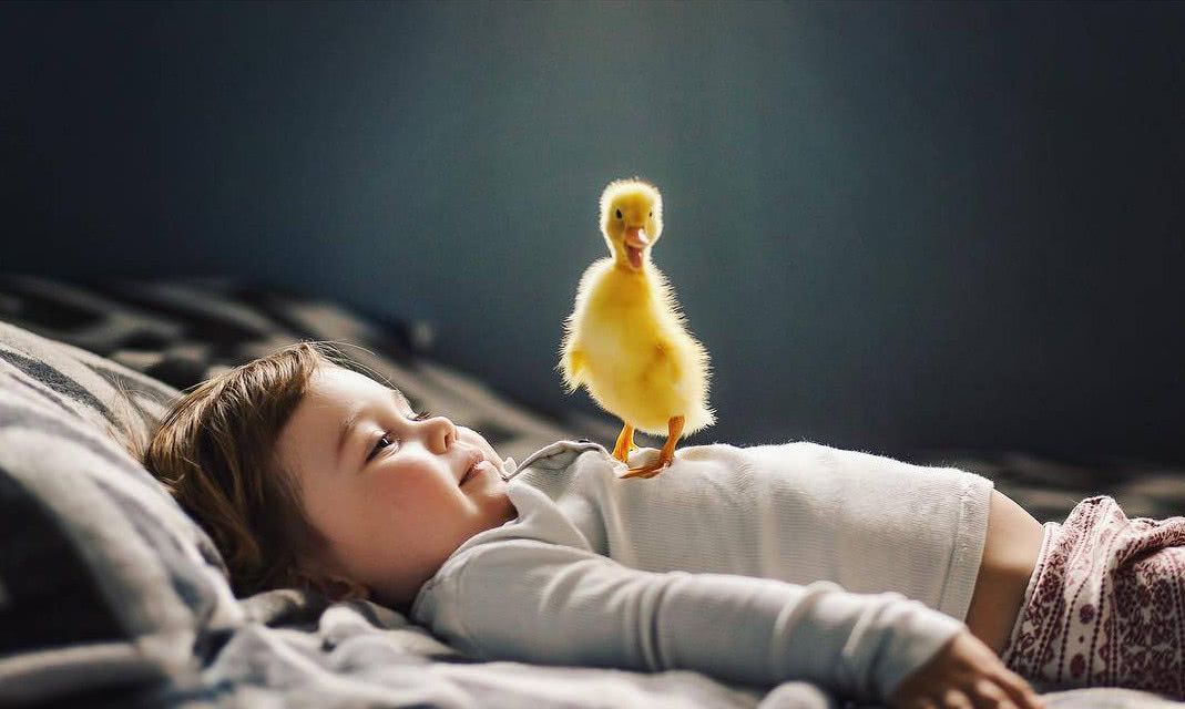 暖系萌娃少女心壁纸愿你走出半生归来仍是少年