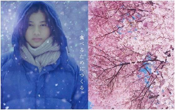 樱花落成河一见倾人心