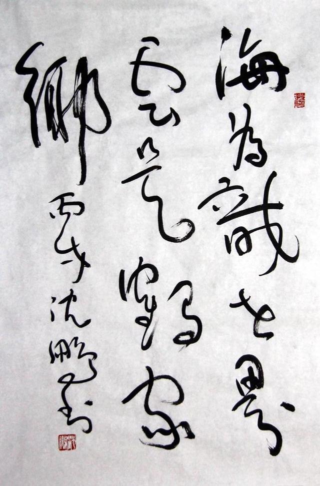 有人说沈鹏书法:像塑料管被热水烫过,缩筋失骨不舒展.你怎么看