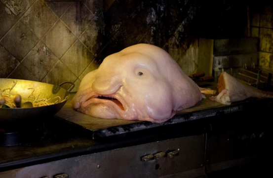 海洋中最丑6大生物,图2一滩烂泥略恶心,图5看完晚上做噩梦!