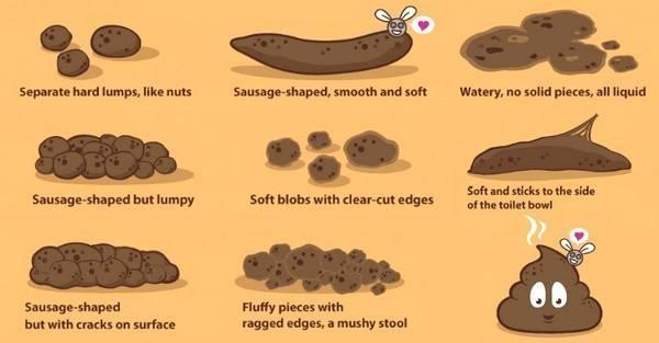 那就说明你的肠道也发生变形,所以一定要引起重视,如果你排便的形状不