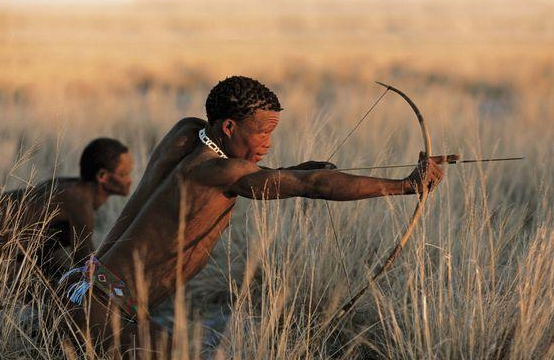 他们去非洲比较原始的部落参观,看见很多部落仍然在坚持以打猎谋生