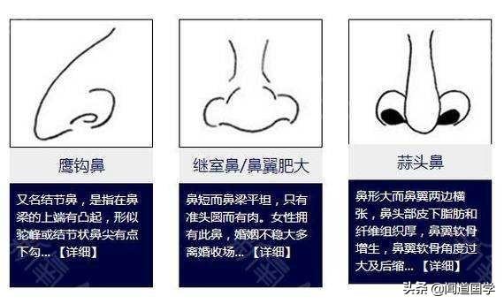 详解面相学鼻子的相法要点|鼻子|准头|廷尉_新浪新闻