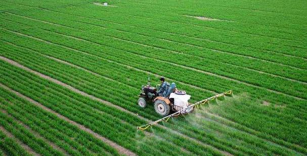 农村老话:白露早寒露迟,秋分种麦正当时,种小麦应该在这个时候
