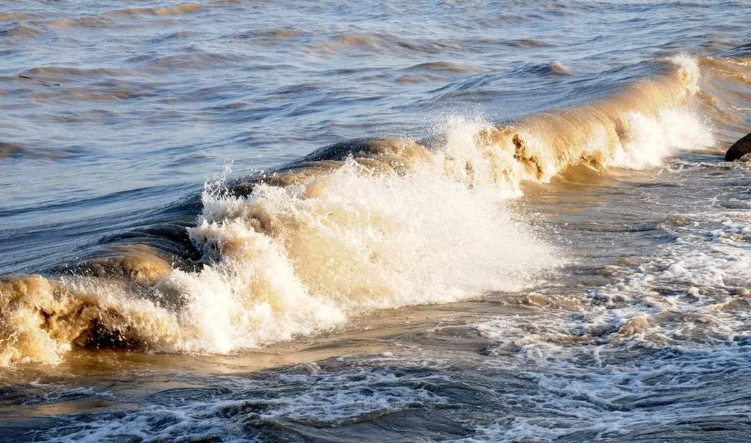 旅行图集:钱塘潮的浪花浑浊汹涌,气势十足!