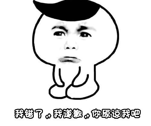 搞笑图片认错表情包可爱版