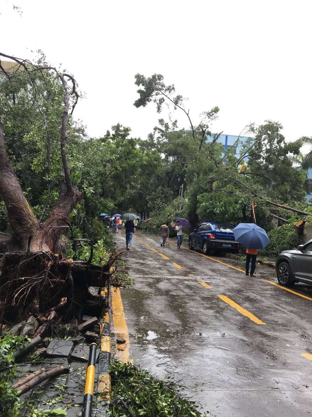现场直击台风"山竹"过后广东人民的艰辛上班路