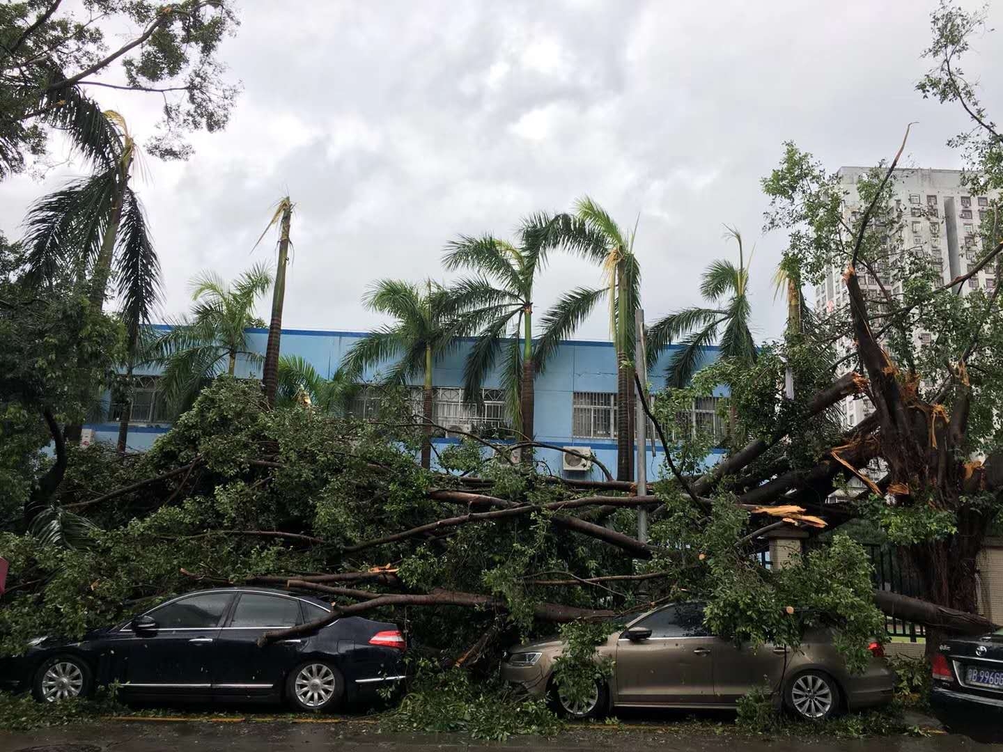 现场直击台风"山竹"过后广东人民的艰辛上班路