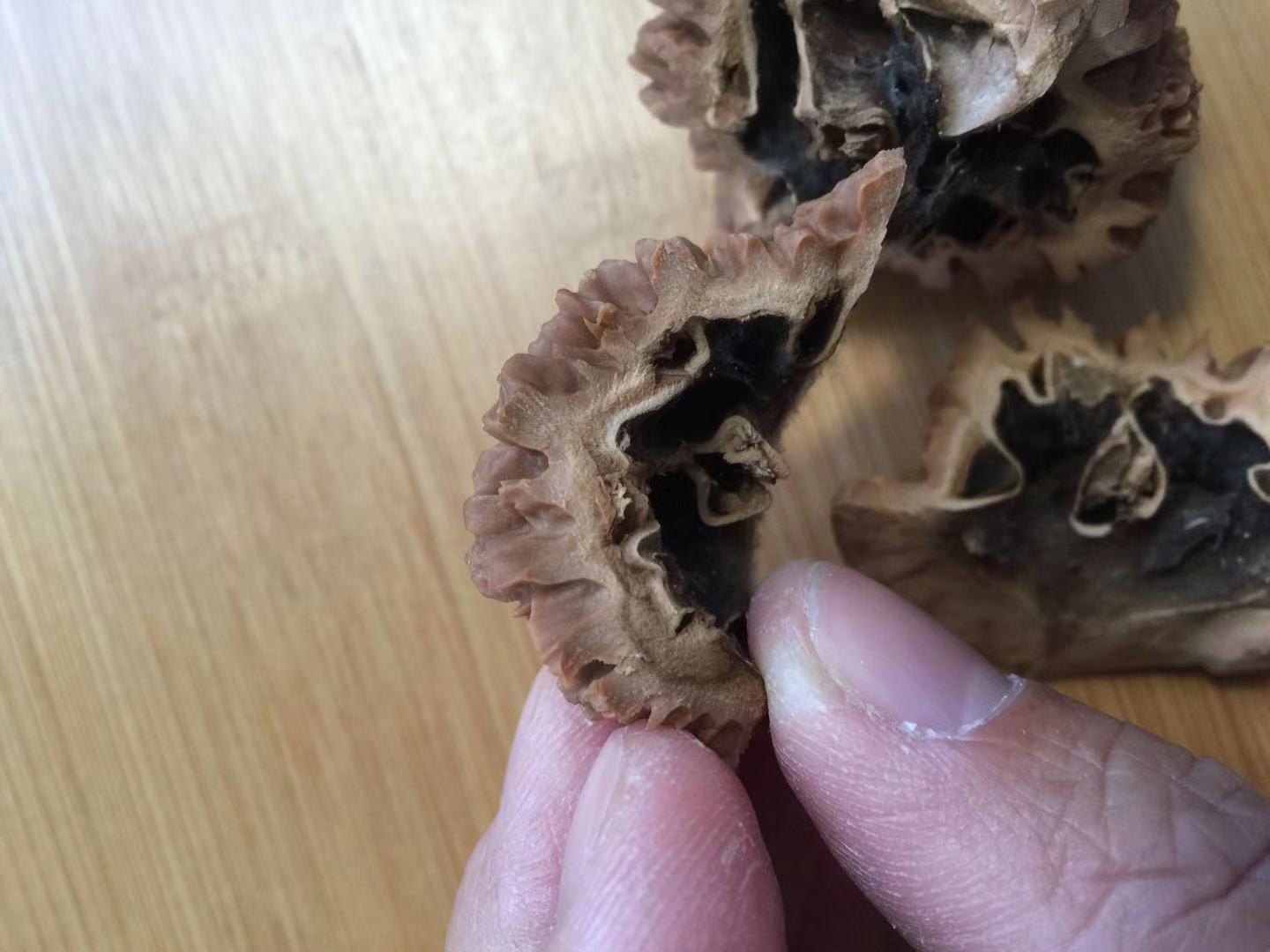 尖部也整齐的一分为二,这个大刺内部构造看起来没有白狮子和苹果园