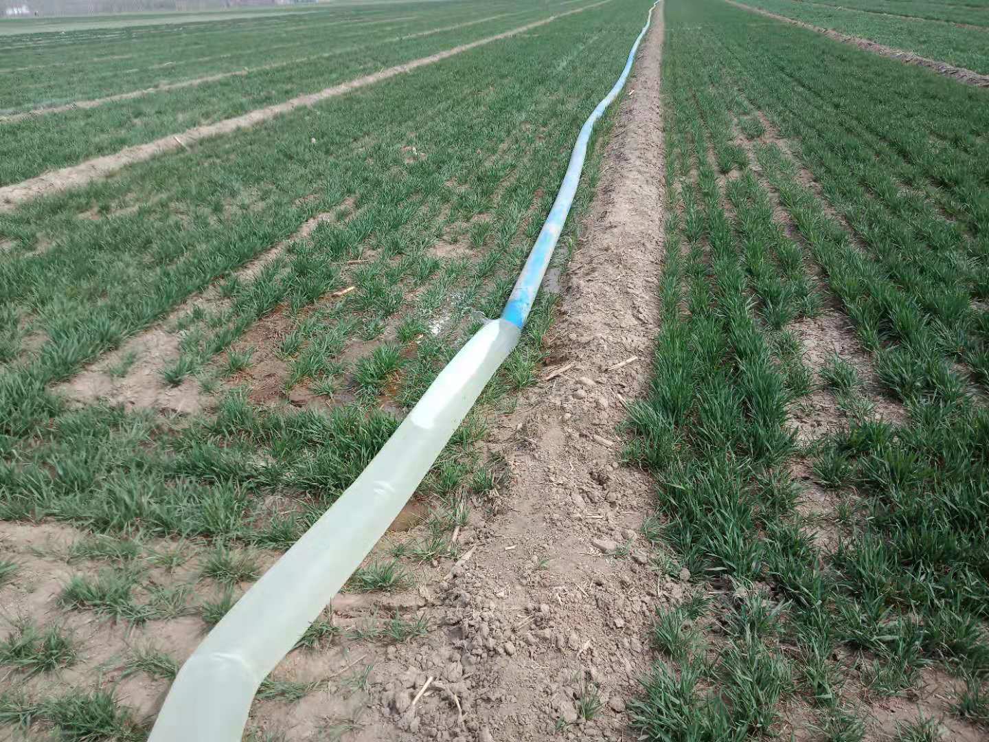 农村自从安上这个东西,农民浇地更方便了