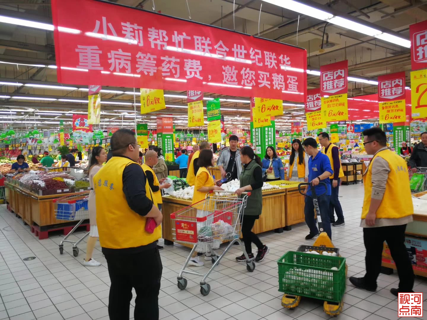 小莉帮忙联合世纪联华两小时卖空鹅蛋 开封大姐不愁了