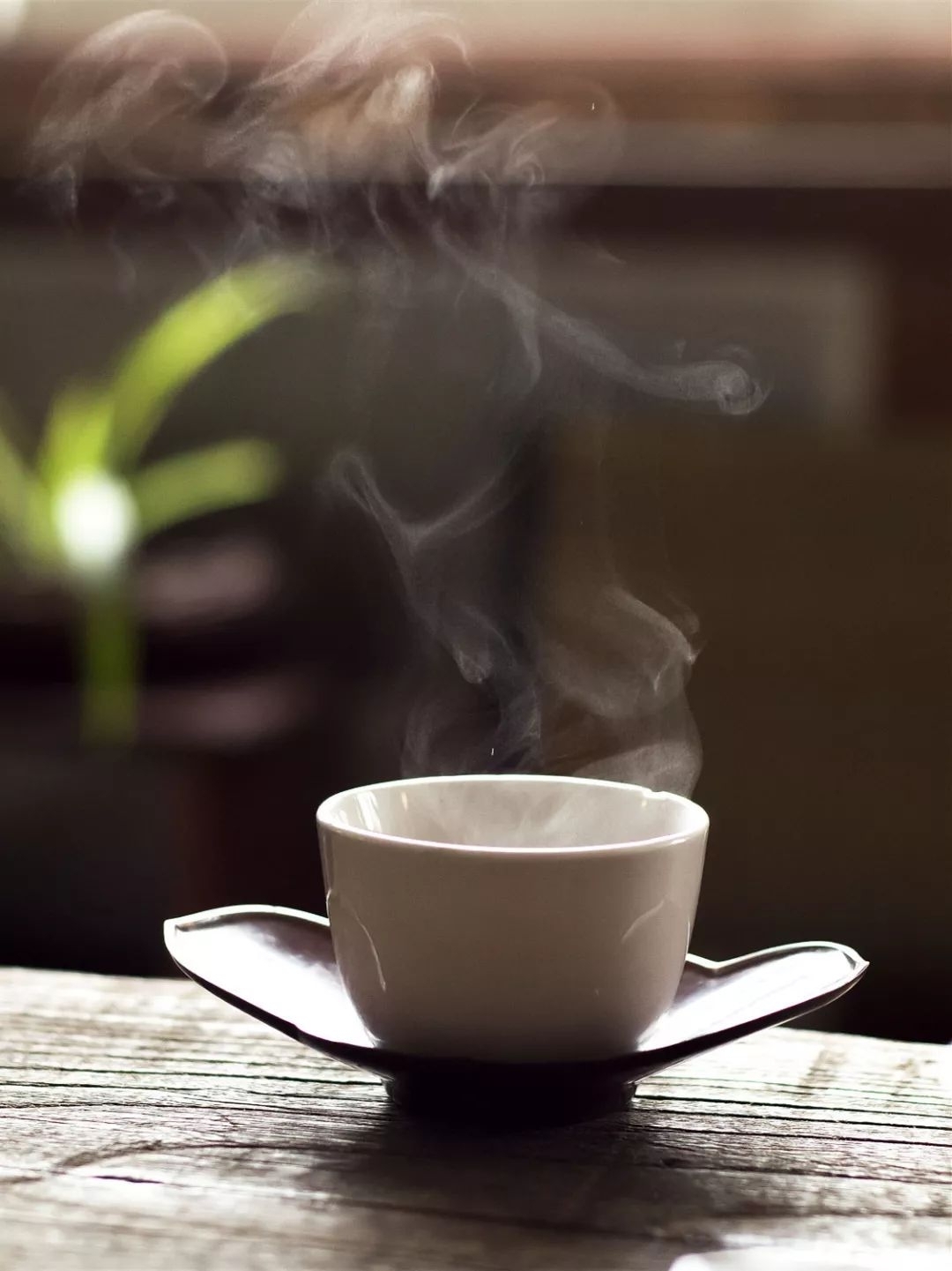 余生寻一杯茶静而不争