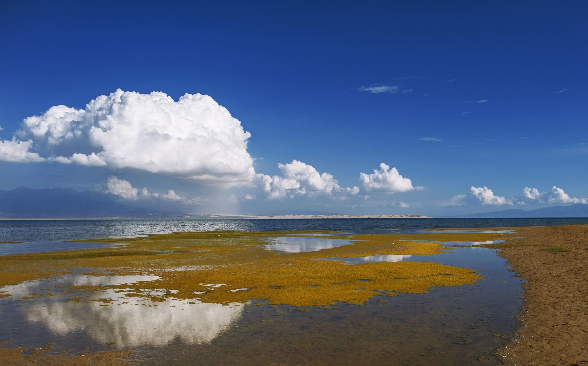 中国最大内陆湖,百年死亡面积相当于一个直辖市