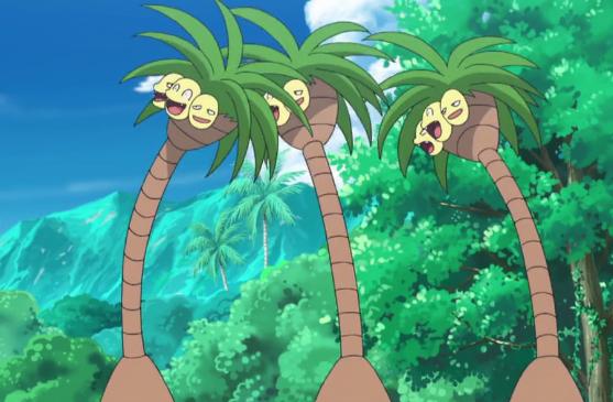 《精灵宝可梦》外表属性都很三国里的小人物的阿罗拉椰蛋树,交战