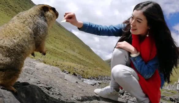 小姐姐想要和土拨鼠握手,它一脸迷惑:想把薯片要回去?