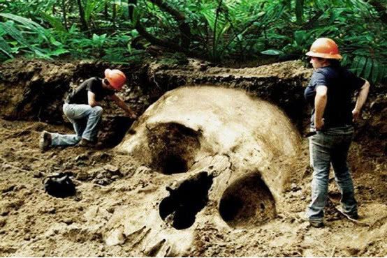 金字塔建造之谜被破解科学家在古墓发现巨人化石头颅四倍大