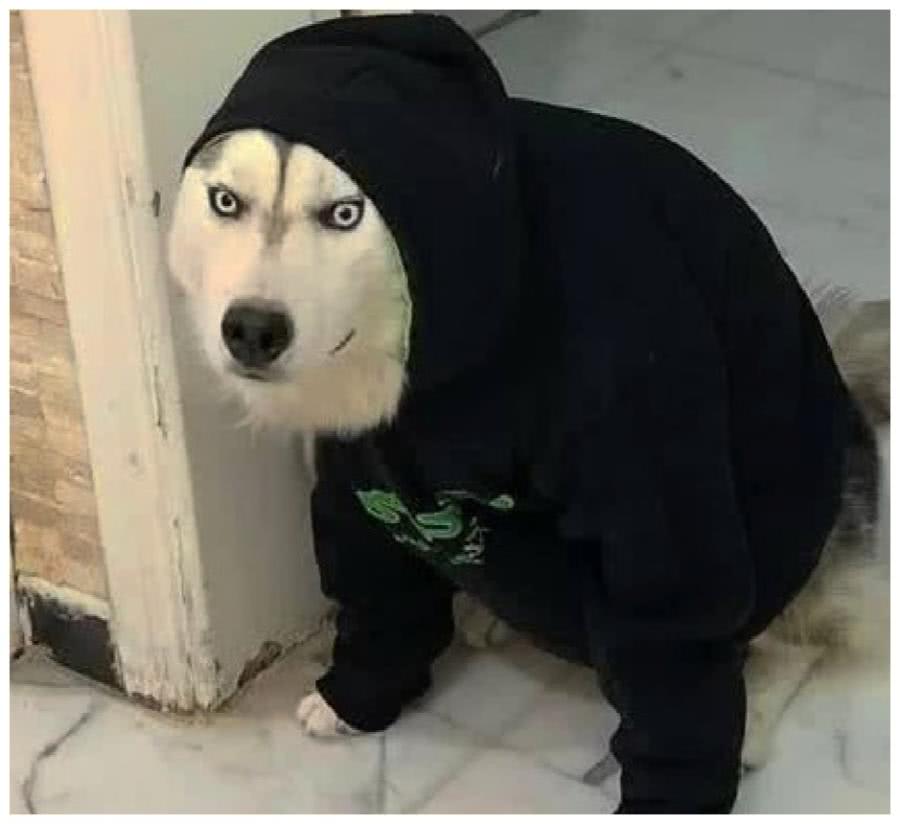 一开始挺帅气,可后来就成笑话了
