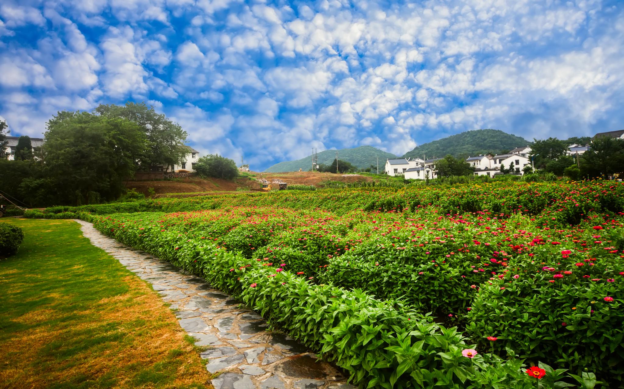视频东山街道佘村社区全面打造特色田园乡村
