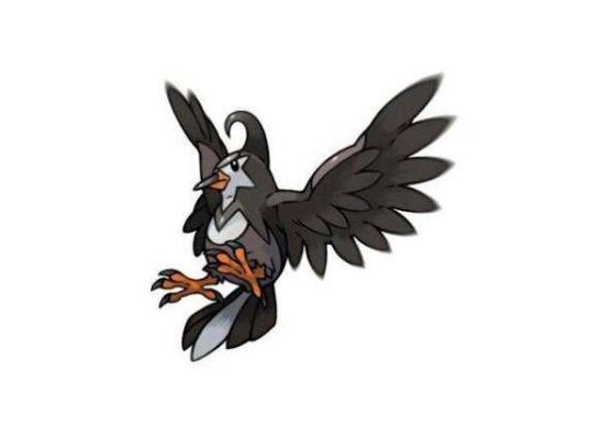 椋鸟宝可梦——姆克鸟(属性:一般/飞行)和姆克儿一